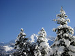 winter winter