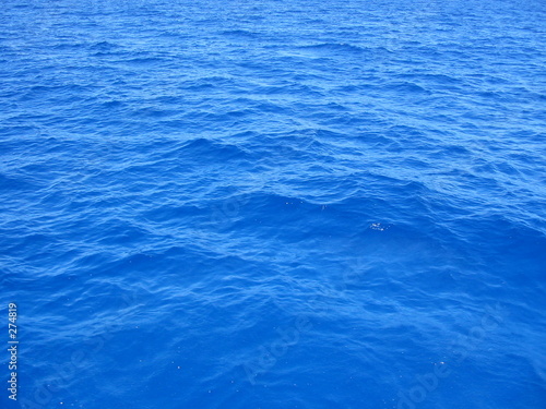 perfect sea perfect sea