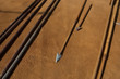 arrows