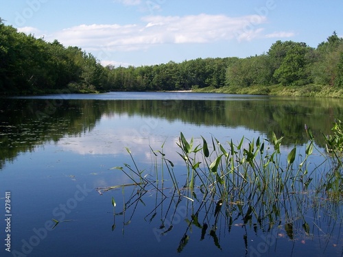 the pond at ferry beach