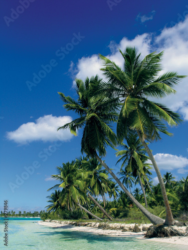 Foto: caribbean beach caribbean beach