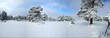 panoramica de paisaje nevado