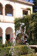 agua viva