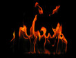 log on fire