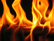 flames coming from a log