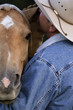 horse whisper
