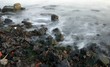 waves on the shore