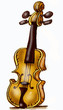 violon
