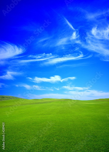 green field