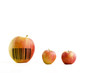 genetic modification