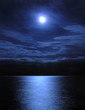 moonlight