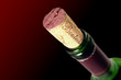 bouteille de vin rouge 5