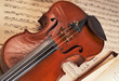 violin