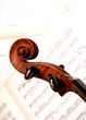 Foto: violin head violin head