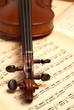 violin head