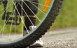 wheel