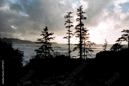 sunset in tofino