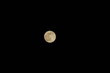 lune lune