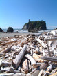 ruby beach