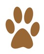 trace d'ours