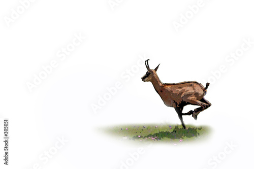 chamois fuyant postérisé