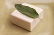 Photo: sage soap sage soap