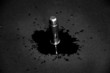 bullet-concept 2