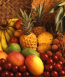 naturemorte001 naturemorte001
