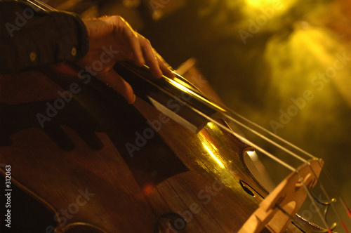 contrebasse 2