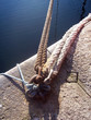 boat rope tie boat rope tie