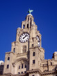 liver building clock tower liver building clock tower