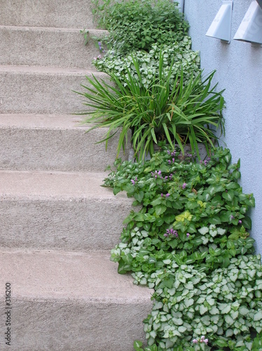 Foto: garden steps garden steps
