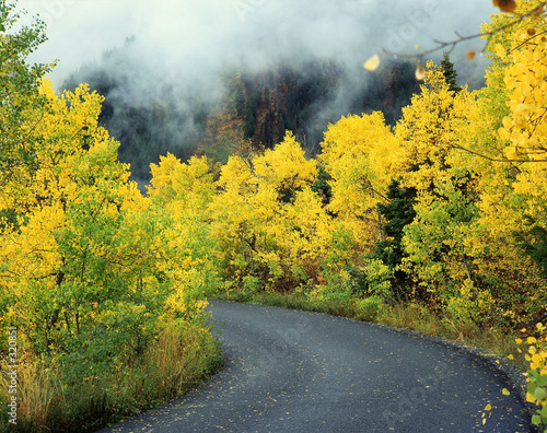 aspen road