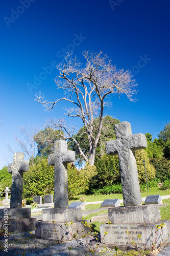 graves #9 graves #9