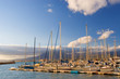 harbour #15