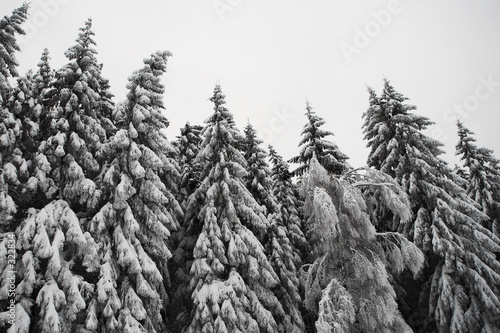 snow landscape #10 snow landscape #10