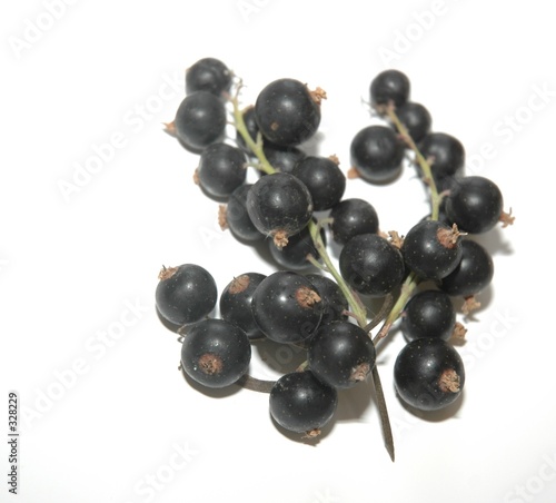 cassis cassis