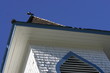 church steeple church steeple