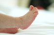 pied de bébé
