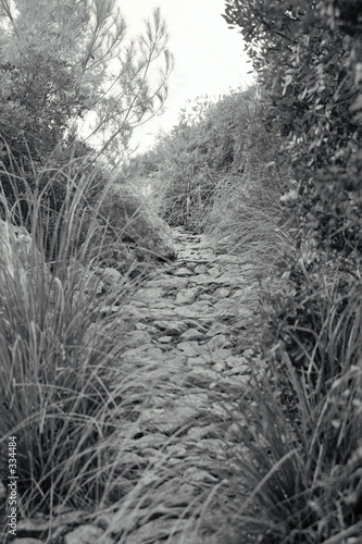 der weg