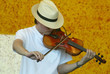 fiddler