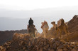 Photo en ligne au meilleur prix camels and tourist