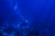 diving diving