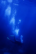 Photo en ligne au meilleur prix diver 2