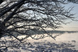 cold