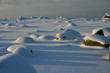 low sun, long shadows