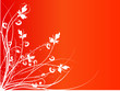 floral abstract