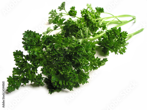 fresh parsley on white background fresh parsley on white background