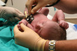 new born baby