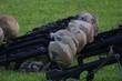 faisceau de famas